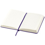 NOTESNIK