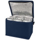Hladilna torba iz netkanega materiala 4l 