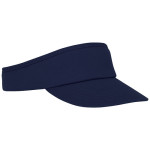 Ščitnik pred soncem