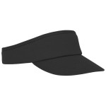 Ščitnik pred soncem