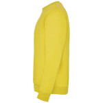 Pulover Clasica, unisex
