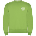 Pulover Clasica, unisex